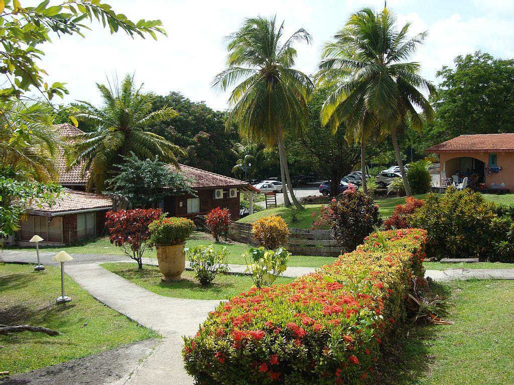 Palm'Studio Anse De Caritan Sainte-Anne Exteriér fotografie