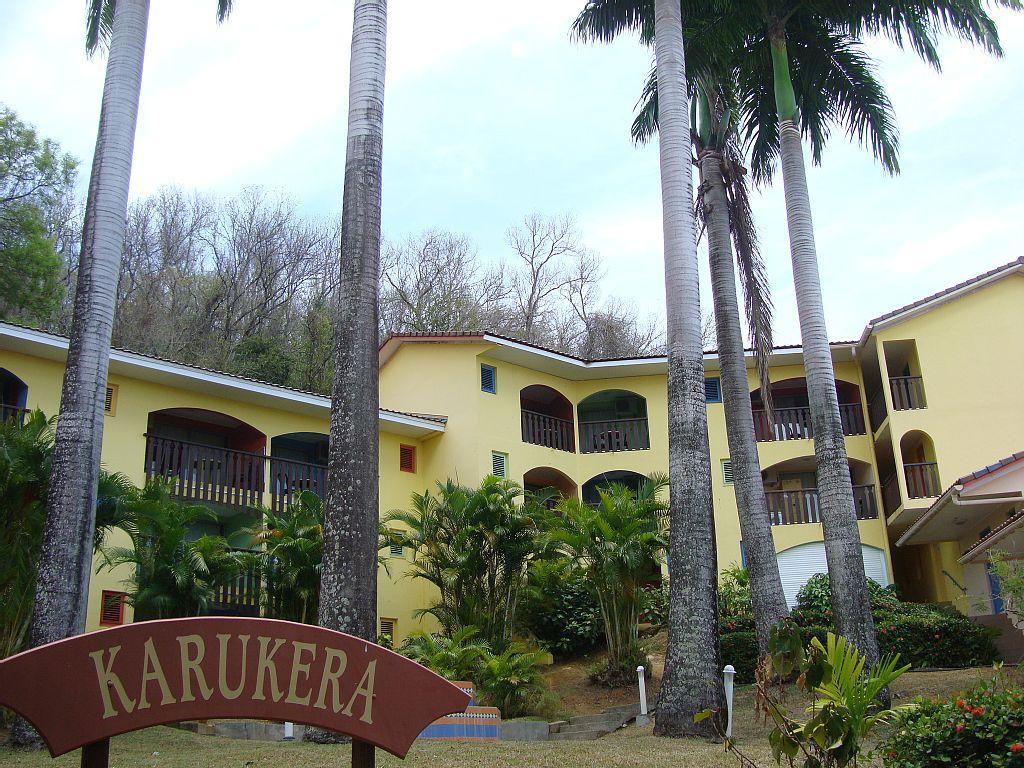 Palm'Studio Anse De Caritan Sainte-Anne Exteriér fotografie