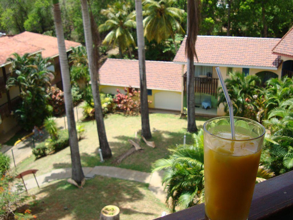Palm'Studio Anse De Caritan Sainte-Anne Exteriér fotografie